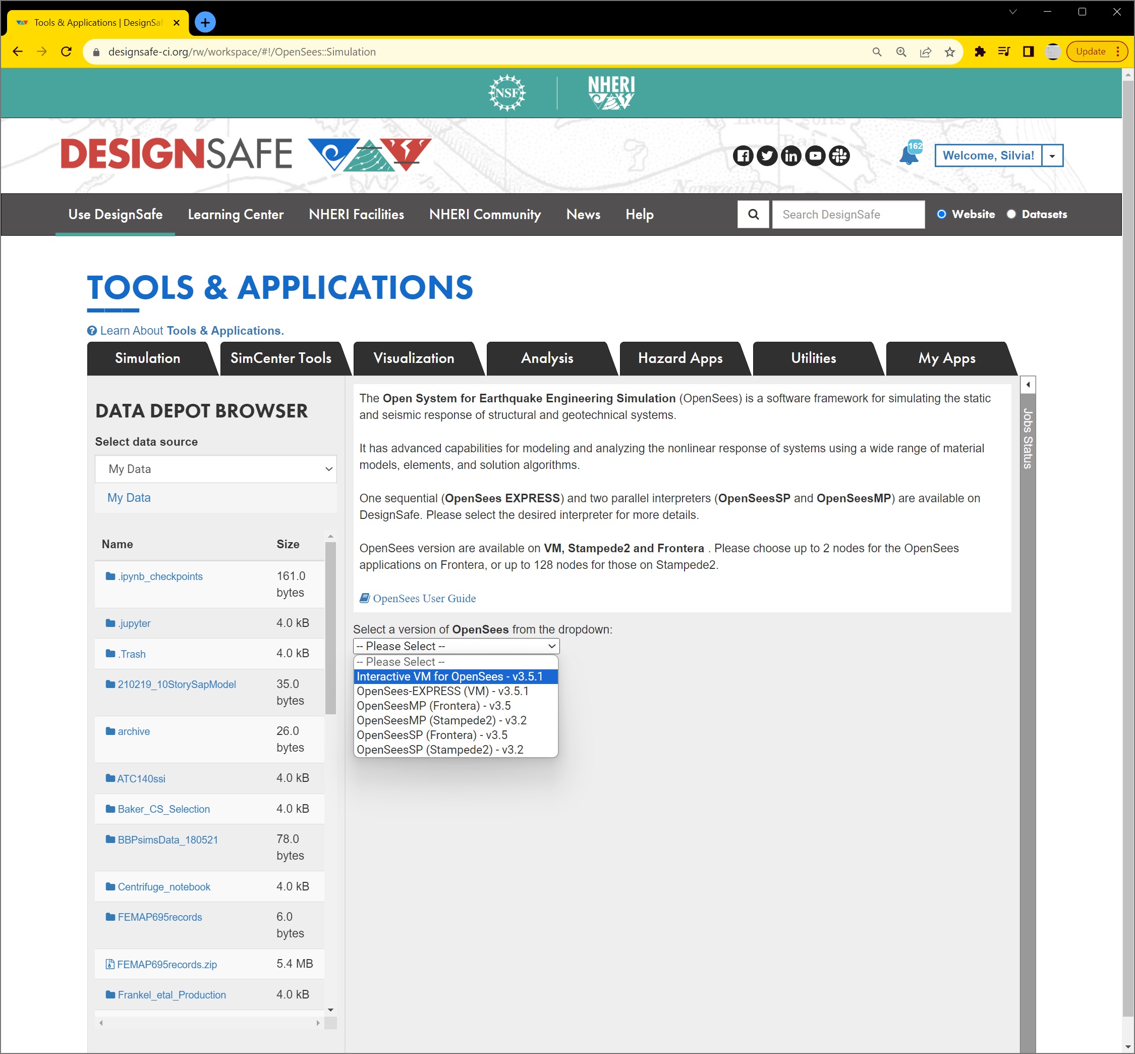 OpenSeesIVM